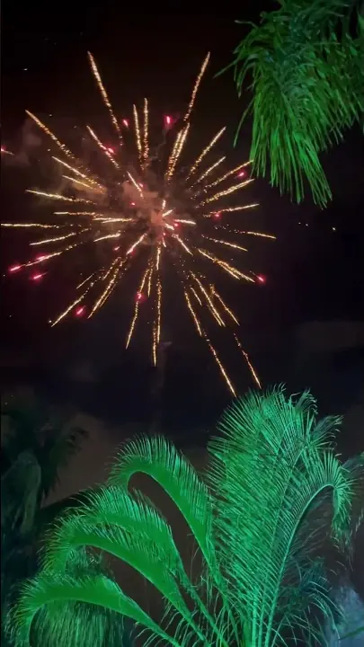 Fuegos artificiales de Drink In Car iluminando el cielo nocturno entre palmeras